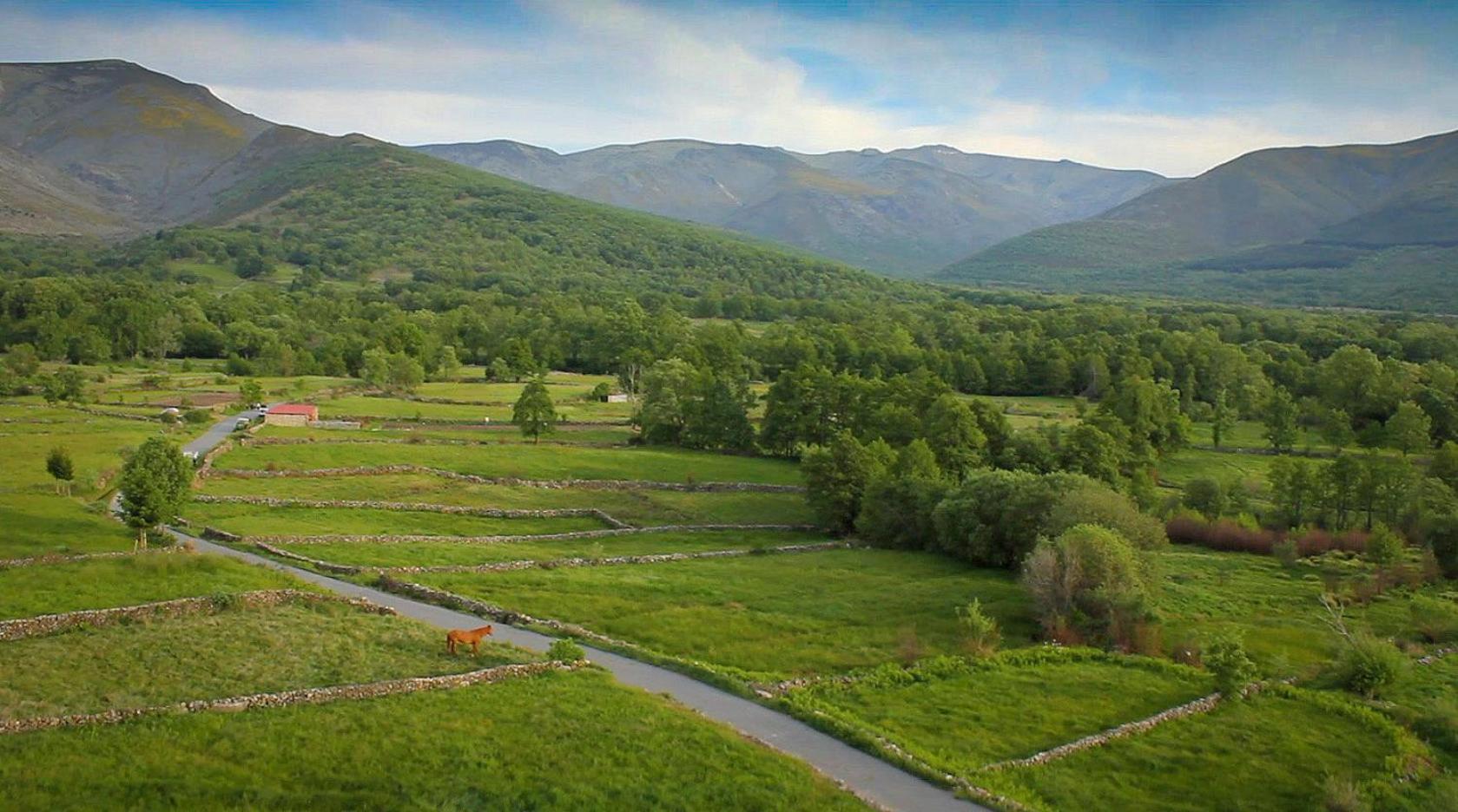Remanso De Gredos Konuk evi Navalonguilla Dış mekan fotoğraf